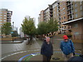 Neat avenue of trees in Virginia Wharf