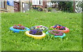 2012 Olympic Rings at Worrall, near Oughtibridge