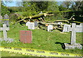 Harford churchyard, storm damage (4)