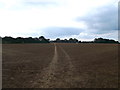 Footpath to Redsole Farm