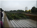 View of the Pleasure Gardens from the path