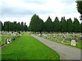 Path in Hawkinge Cemetery