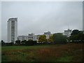 Flats shaped like the side of a ship from the path through Thames Barrier Park #3