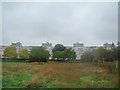 Flats shaped like the side of a ship from the path through Thames Barrier Park #4