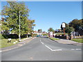 Lingfield Hill - viewed from near Lingfield Approach