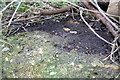 Benchmark on culvert over ditch beside Scalford Road