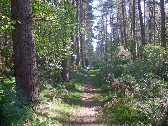 Walking Dere Street © Julian Paren cc-by-sa/2.0 :: Geograph Britain and ...