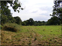 TM3775 : Field near the Salters Lane Bridleway by Geographer