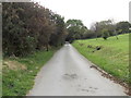 Gipsy Lane - leading to South Leeds Golf Club