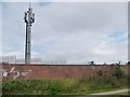 Mobile phone mast, east of Rabone Lane