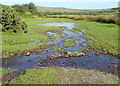 SX5564 : Path near Cadover Bridge by Graham Horn