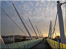 NS7993 : Spiky Bridge by Richard Webb