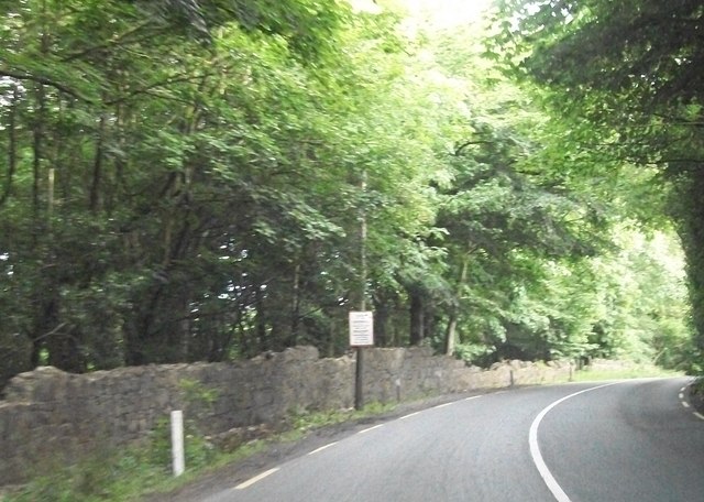 Bend in the R188 near the Monaghan-Cavan border