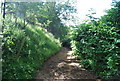 Bridleway near Nore