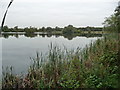 Lakeside scene near Bourton-on-the-Water