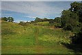 SX8864 : John Musgrove Heritage Trail in Cockington valley by Derek Harper