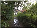 Bridleway approaching East Lodge