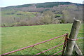 Pasture near Tottersdown Farm