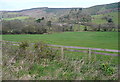 Pasture opposite Totterdown Farm