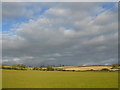 Fields near Burton Dassett