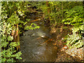 Long Clough Brook