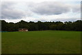 TQ4223 : Sheffield Park: the cricket pitch by Christopher Hilton