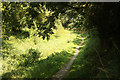 SK6833 : Grantham Canal towpath by Richard Croft
