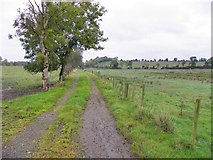 H7017 : Lane tracks, Corwillin by Kenneth  Allen