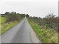 H7315 : Road at Carrickatee by Kenneth  Allen