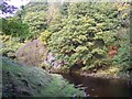 The River Etherow from Warrastfold Bridge