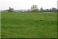 Ouse Valley Way in the pasture