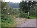 Bridleway leading off Higher Lane, Axmouth