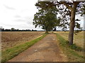 Track to Hornton Hill Farm