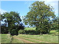 Farm Track near Glebe farm