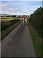 Horseriding near Lochfoot