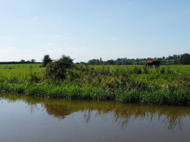 Canalside grazing land, near Stoke Pound