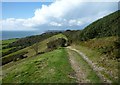 SY3993 : Chardown Hill by Maurice D Budden