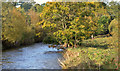 The Sixmilewater, Muckamore (2)