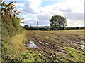 Fields south west of Long Marston Road