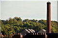 Former mill chimney, Muckamore (1)