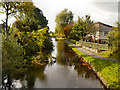 Rochdale Canal at Sandbrook Park