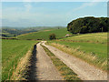 Farm track on Cart Low