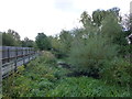 Rye Meads Nature Reserve