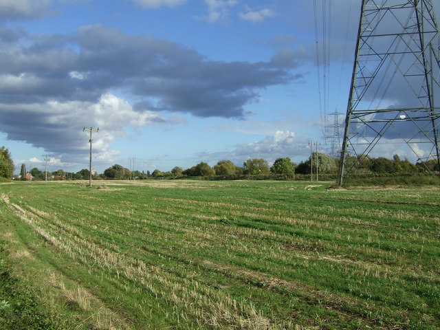 Farmland, West Marsh