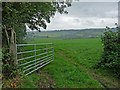 View across the Lynher Valley