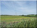 SO8958 : Power lines crossing Offerton farmland by Christine Johnstone