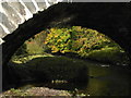 NR7461 : The old bridge at Carse by sylvia duckworth