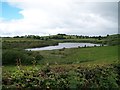H6509 : Coskemduff Lough, Co Cavan by Eric Jones