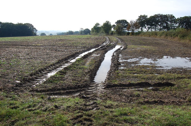 Tracks in a wet field, near Reading Street