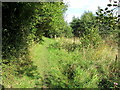 Path beside Pendle Water